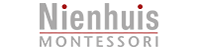Nienhuis в России